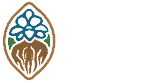 I'm A Seed Foundation